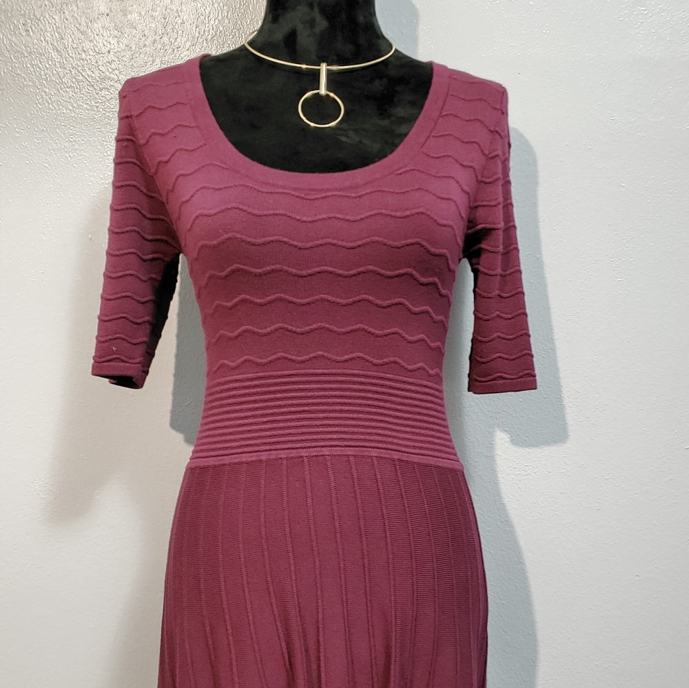 Maroon Sweater dress